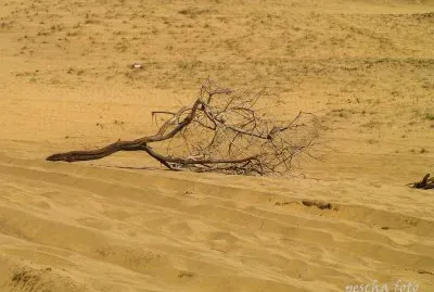 gran canaria / maspalomas jigsaw puzzle