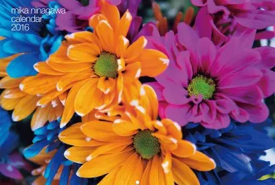 èœ·å·å¯¦èŠ±3