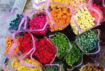 flower6