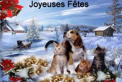 animaux noel