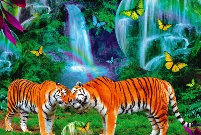 selva