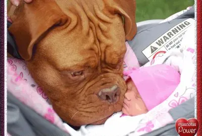 BEBE CON PERRO