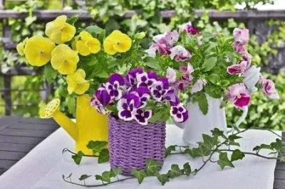 פאזל של imagem