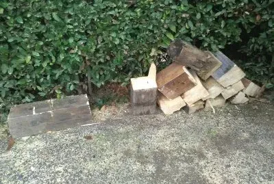 wood