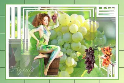 vendange jigsaw puzzle