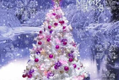 Gorgeous White Christmas Tree