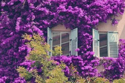 imagem jigsaw puzzle