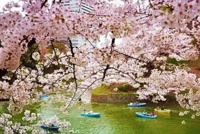 imagem jigsaw puzzle