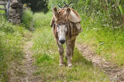 acores jigsaw puzzle