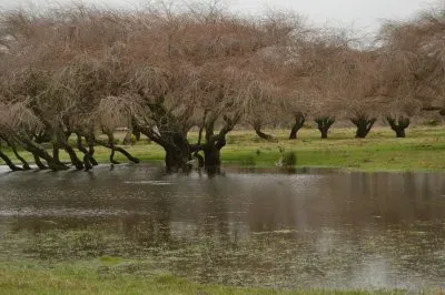 Tolten jigsaw puzzle