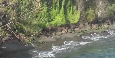 Niebla jigsaw puzzle