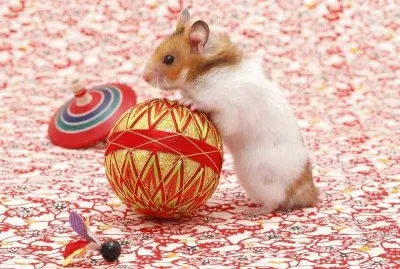 imagem jigsaw puzzle