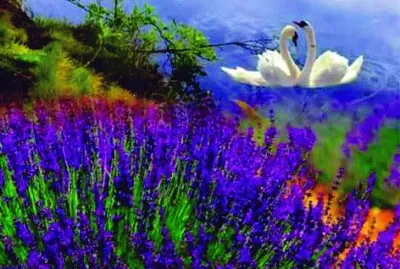 Flores jigsaw puzzle