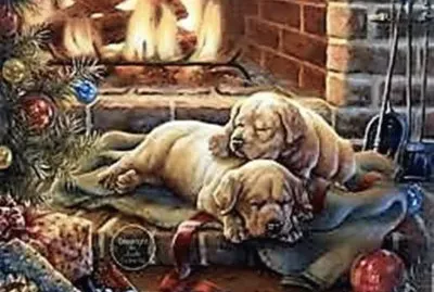 chiens au coin du feu