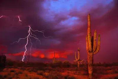 Arizona 1 jigsaw puzzle