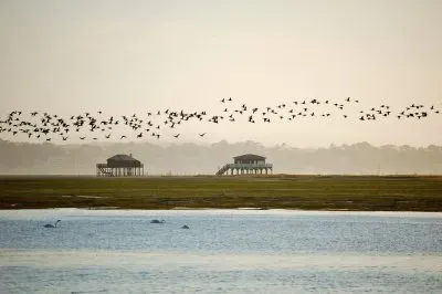 L ILE AUX OISEAUX