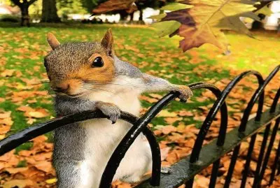 â™¥ jigsaw puzzle