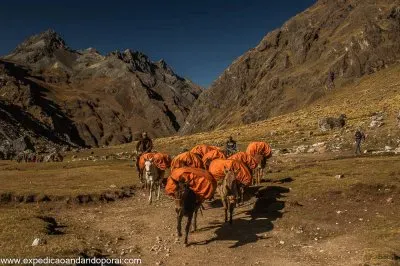 imagem jigsaw puzzle