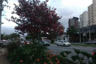 Guarulhos Brazil