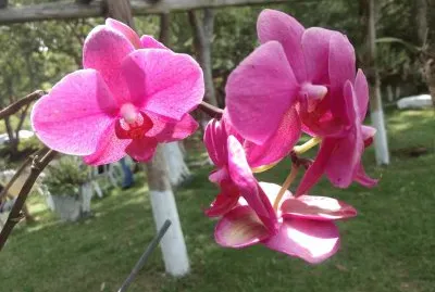 natureza
