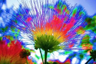 Bunt