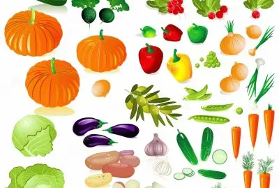 VERDURAS