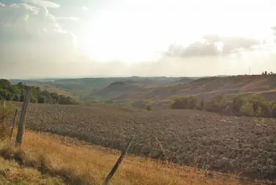 Castelnuovo Berardenga
