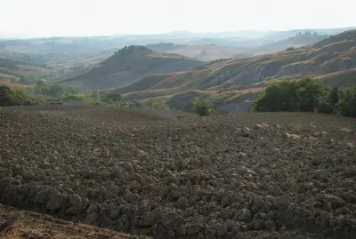 Castelnuovo Berardenga