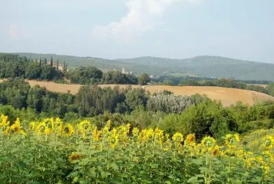 Castelnuovo Berardenga