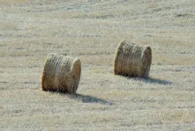 San Giovanni d 'Asso