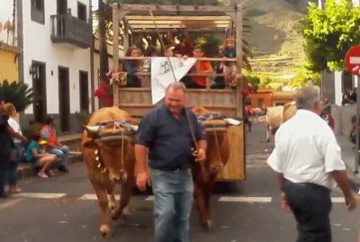 פאזל של FESTA PAESANA