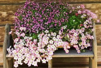 imagem jigsaw puzzle