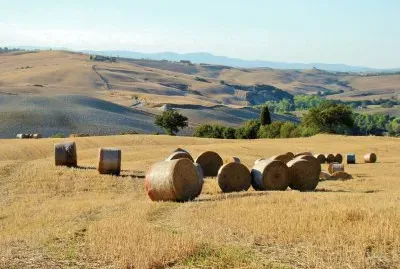 Pienza