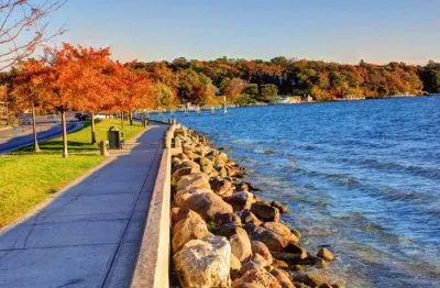 NATUREZA jigsaw puzzle