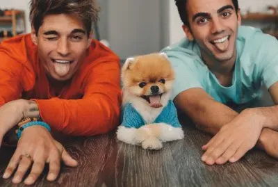 dosogas y Jiffpom