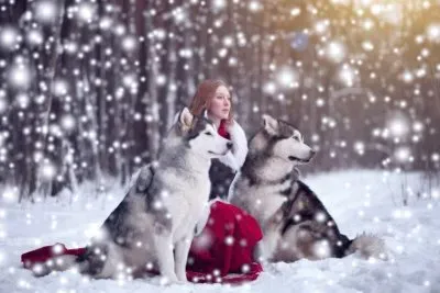 פאזל של imagem