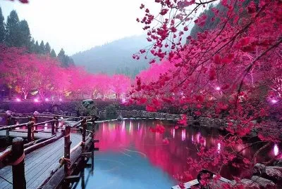 פאזל של Lake Sakura