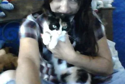 פאזל של mi kitty