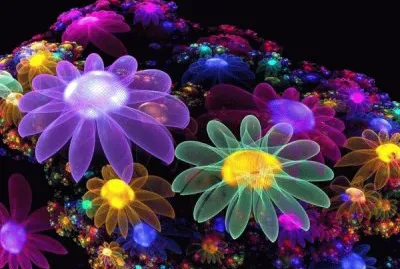 Flores