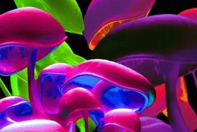 å¤¢å¹» jigsaw puzzle