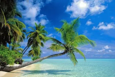 Playa