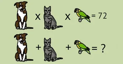 ç®—æ•¸ jigsaw puzzle