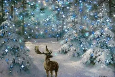 Lugares MAGICOS !!!!!!!