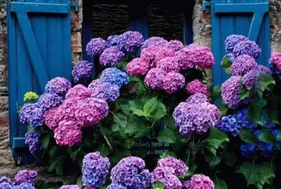 Lugares MAGICOS !!!!!!!