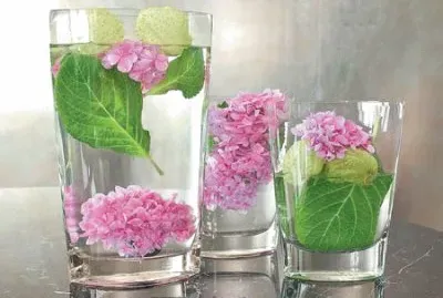å”æ£‰