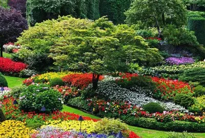 èŠ±åœ’
