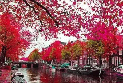 venecia jigsaw puzzle