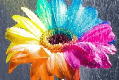 Flores jigsaw puzzle