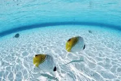 PAISAJES jigsaw puzzle