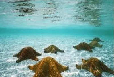 PAISAJES jigsaw puzzle